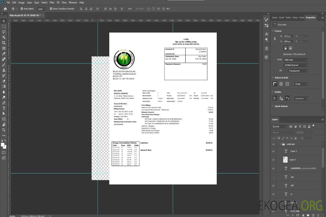 Modèle de facture de services publics d'électricité de Belize Electricity Limited au format Word et PDF template